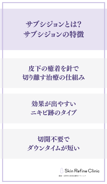 サブシジョンとは?サブシジョンの特徴