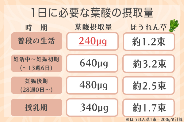 医師監修 葉酸サプリおすすめ12選 飲まない方がいいはウソ 費用 効果を徹底比較 Beauty Life