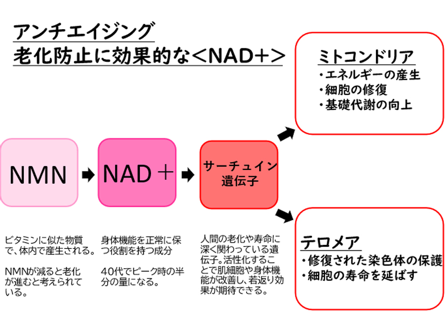 NAD+(NMN)
